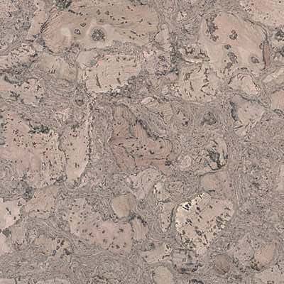 Ceres Cork Ceres Cork Color Floating Floor (special Order) Woodland Trail Bridal Lace Vl20051