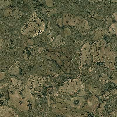 Ceres Cork Ceres Cork Color Floating Floor (special Order) Woodland Trail Spring Moss Vl20012