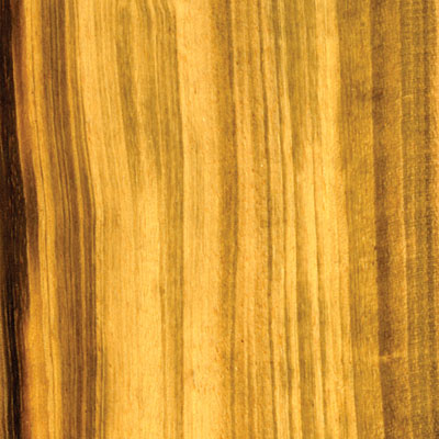 Cikel Cikel Brasilia Solids 3 / 8 Tigerwood Hardwood Flooring