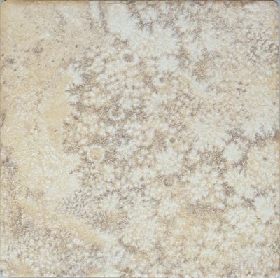 Leonardo Ceramica Leonardo Ceramica Fiorito 18 X 18 Dorato Tile  &  Stone