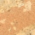 Nova Cork Klick - Luminary Design Series Flora Cork Flooring