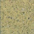 Santa Regina Accent 16 X 16 (polished) Peridot Terrazzo Tile