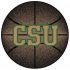 Strike Off Company, Inc Colorado State University Colorado State Basketball 24" Area Rugs