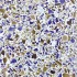 Wausau Tile Glass Terrazzo 12 X 12 (type A) Tg225 Tile & Stone